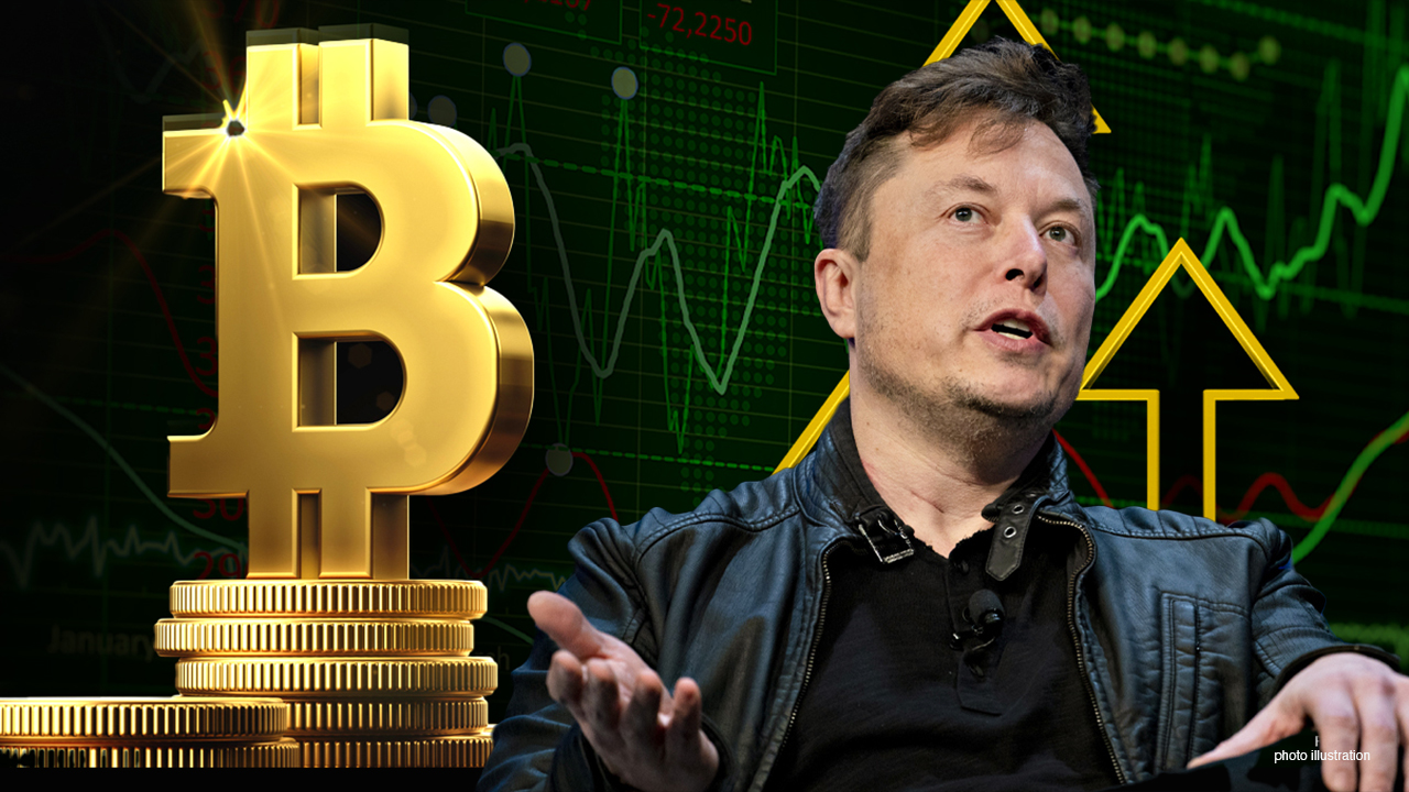 Elon Musk- kriptovaliuta